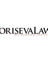 Attorney  Teresa Toriseva in Wheeling WV