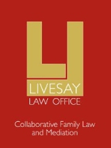 Attorney Louise Livesay in Saint Paul MN