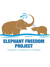 Attorney Elephant Freedom Project in Mae Win จ.เชียงใหม่