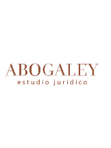 Attorney Abogaley . in Viña del Mar Valparaíso